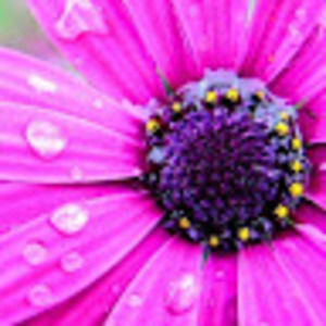 Meet your Posher, Kendra